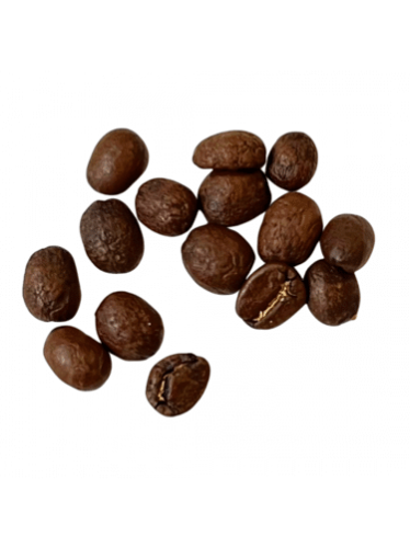 Guatemala Finca San Sebastian SHB – Ristet